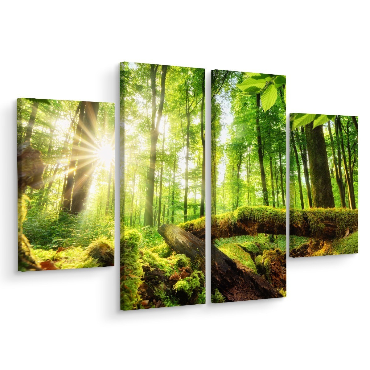 Obraz Wieloczęściowy Promienie Słońca w Lesie 3D 80x60cm