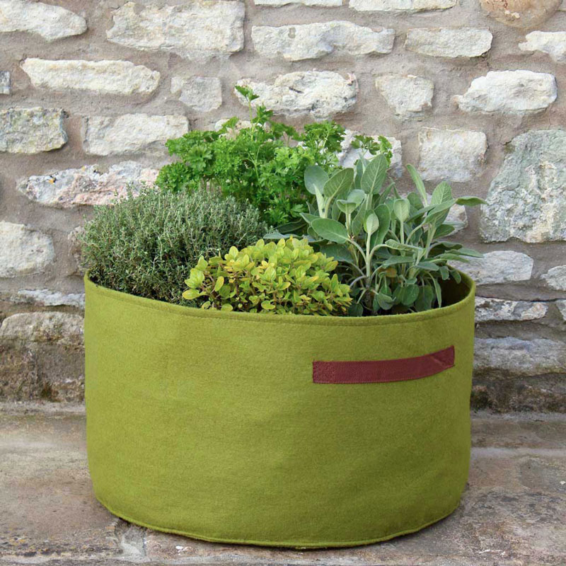 Odlingssäck Vigoroot Herb Planter