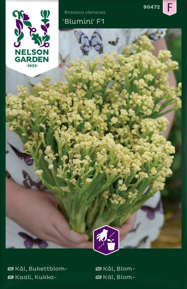 GRØNNSAKSFRØ NELSON GARDEN BLOMKÅL BLUMINI F1
