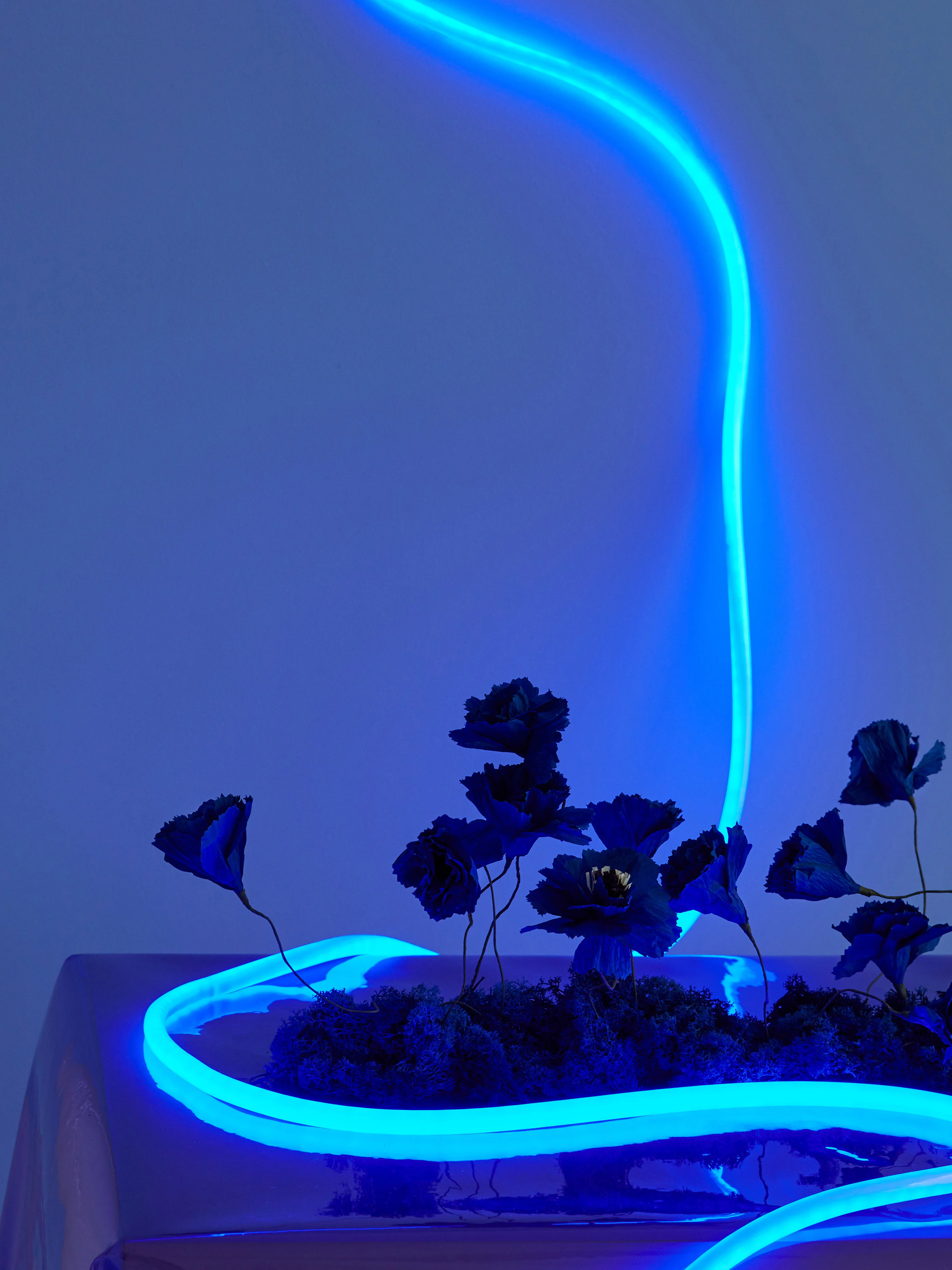 Dimmbare LED-Lichterkette Flex Tube