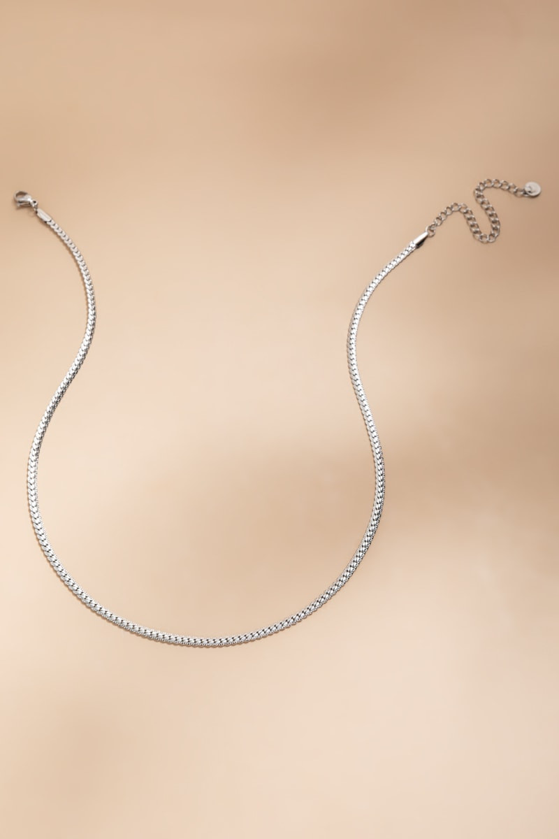 Carry Stainless Steel Silver Curbchain Necklace