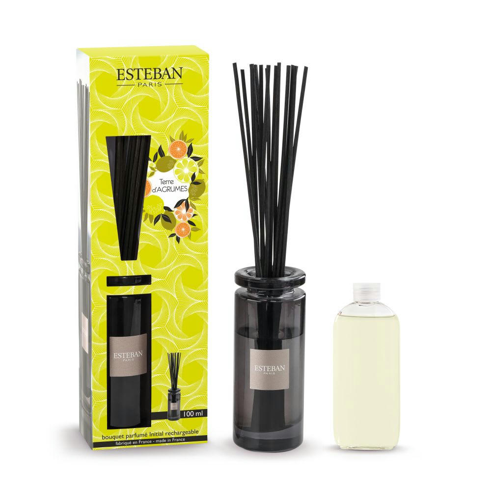 TERRE D'AGRUMES - Bouquet parfumé Initial 100ml