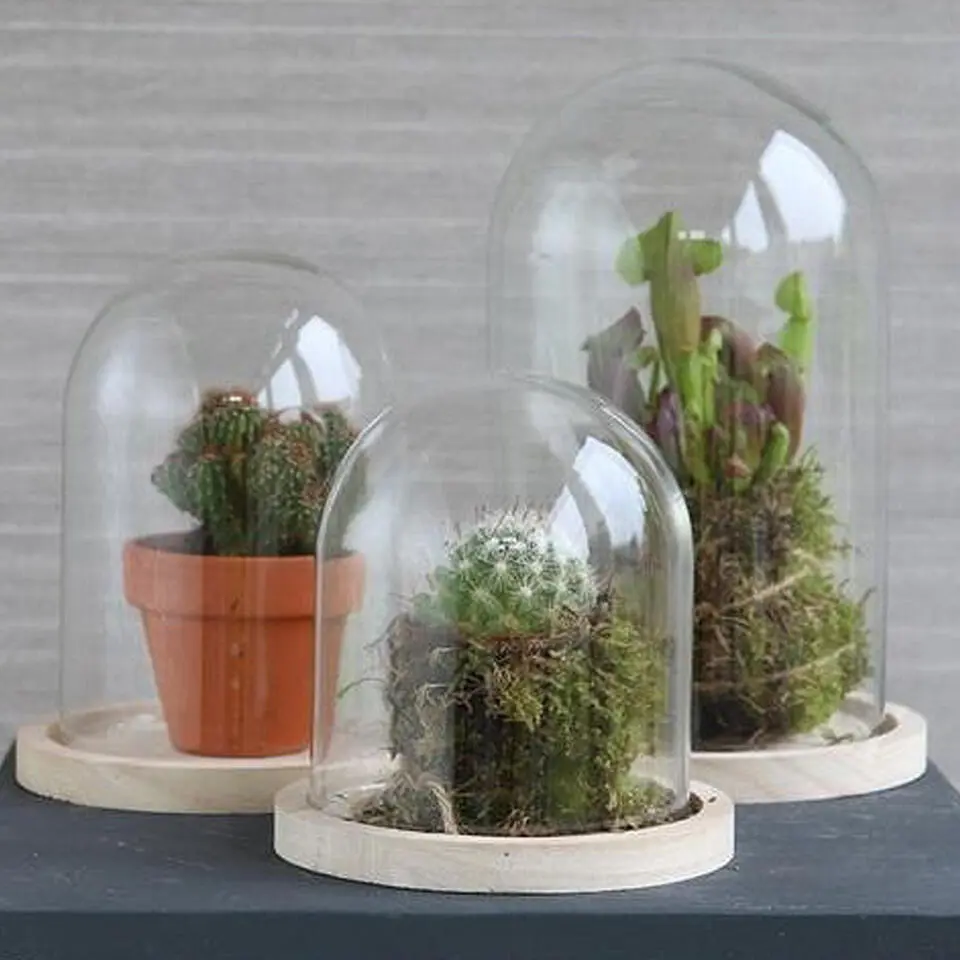 Ideas 4 Seasons Decoratie stolp - glas - houten plateau - D12 x H13 cm