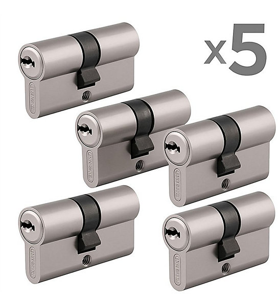 Lot de 5 cylindres sentrouvrant Traffic 6 pour serrure de porte haute sécurité 20 clés identiques Taille - lot de 5 - 30x40mm