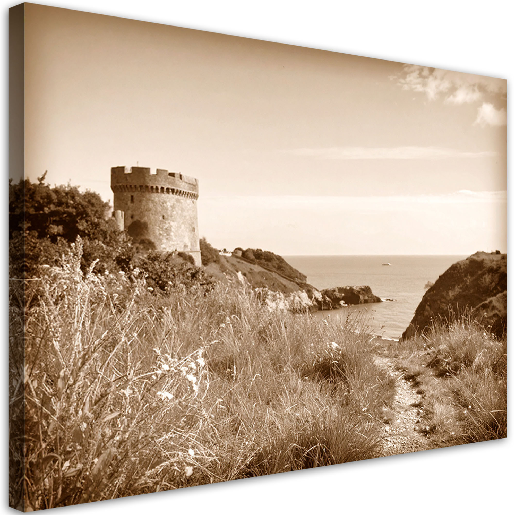 Obraz do salonu sypialni biura, Krajobraz morski sepia klif ścieżka 30x20