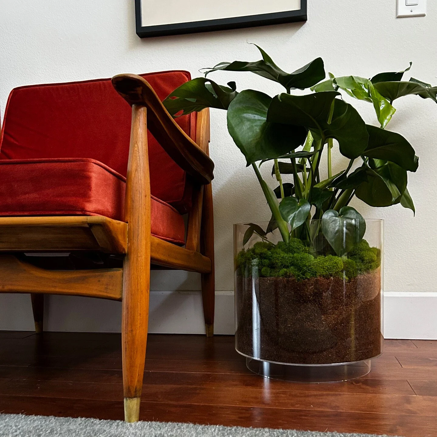 Acrylic GHOST Planter Pot, Mid Century Modern Decor, For Indoor Plants, Sizes 4