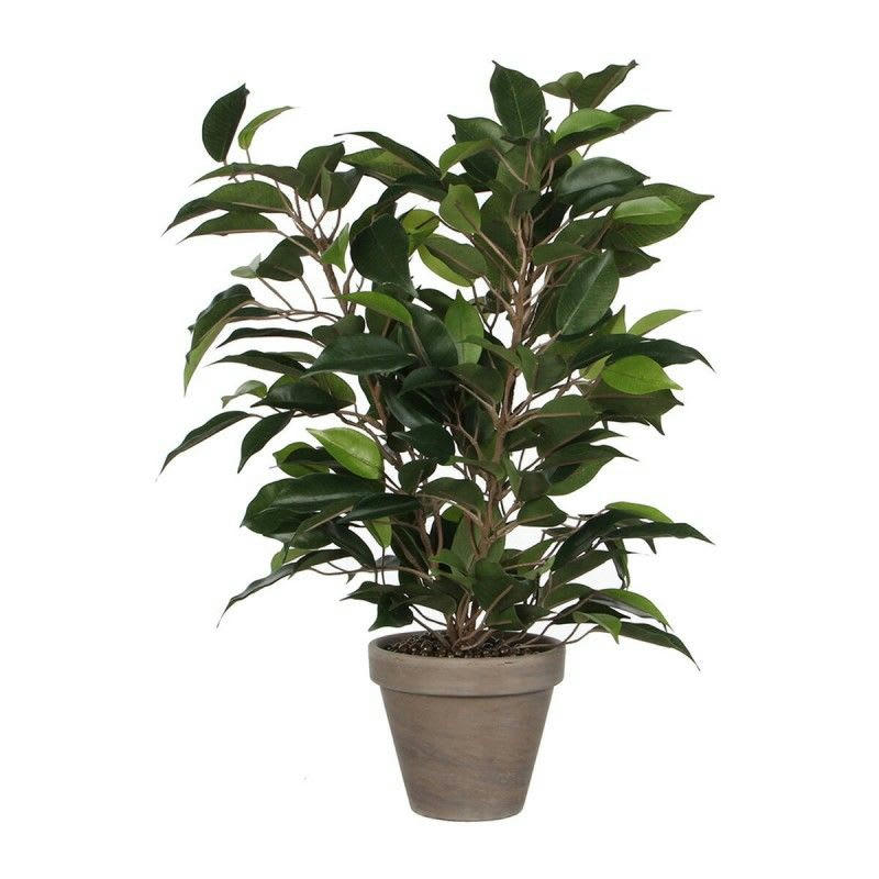 - Ficus natasja artificielle verte en pot H40