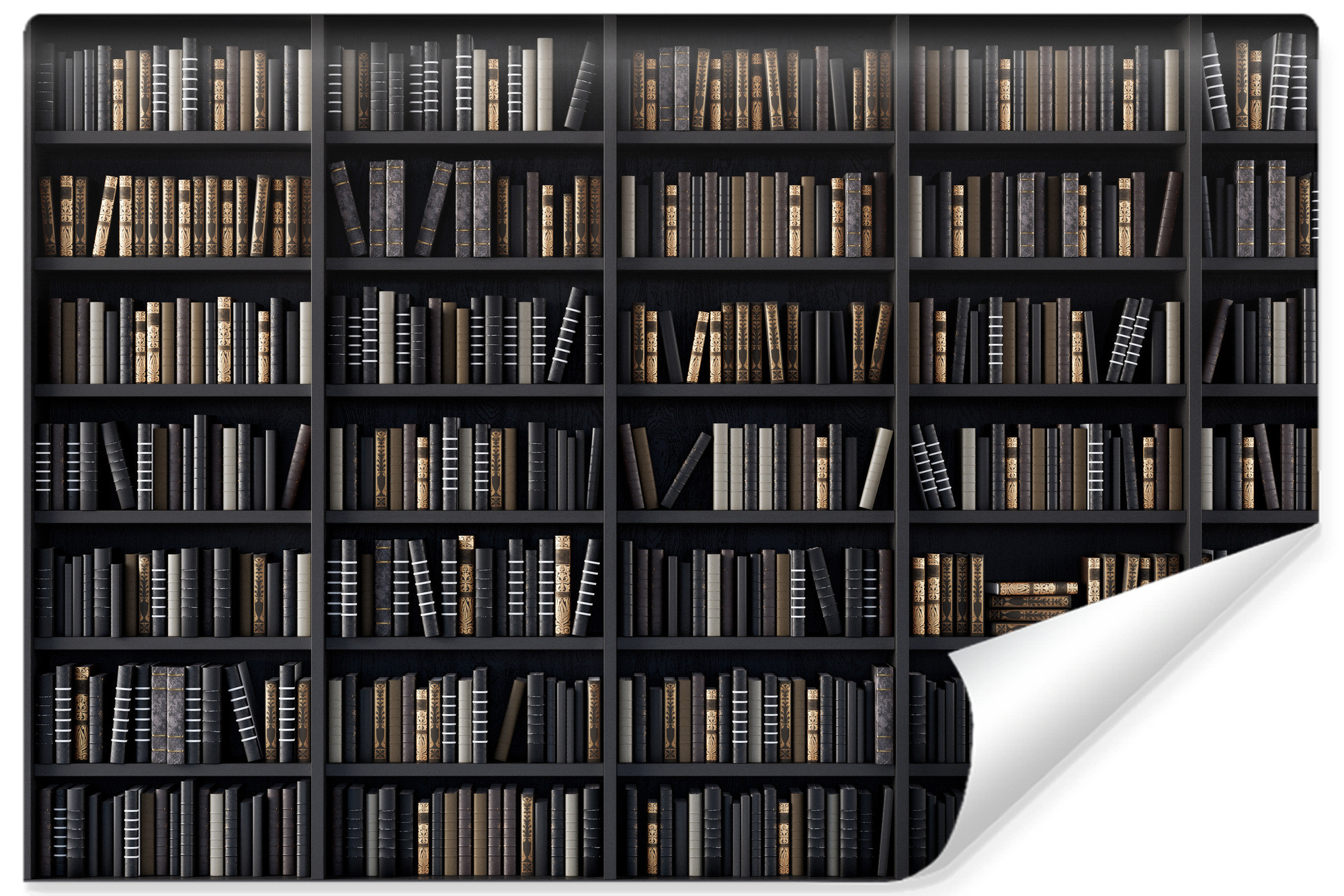 Fototapeta Do Biura Biblioteczka Vintage 3D 90x60cm