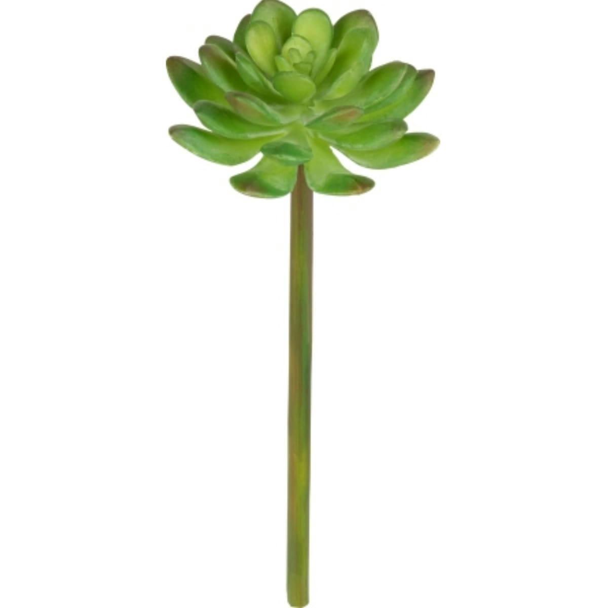 - Tige d’echeveria artificielle h20