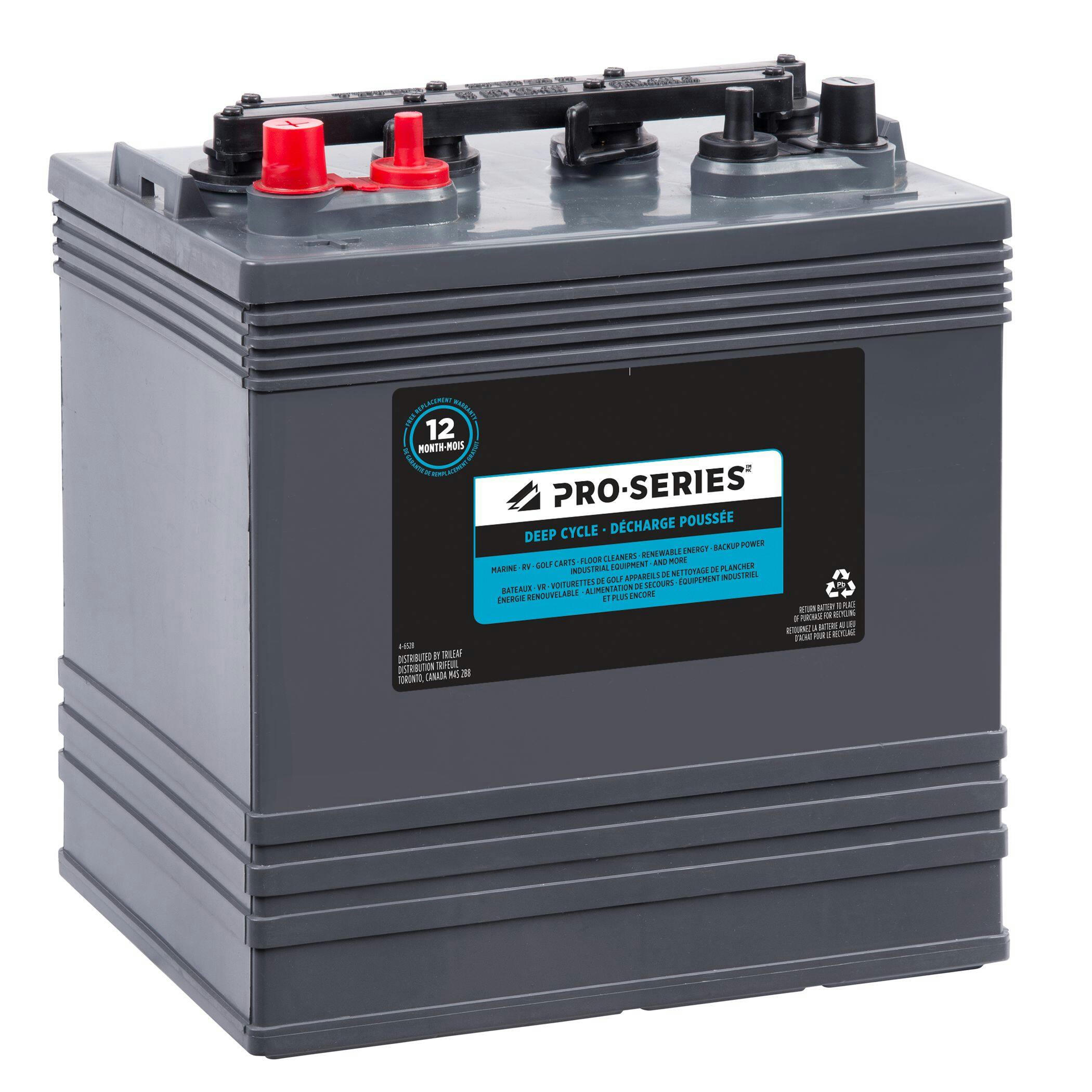 Pro-Series Commercial Group Size GC8 8-Volt Deep Cycle Battery
