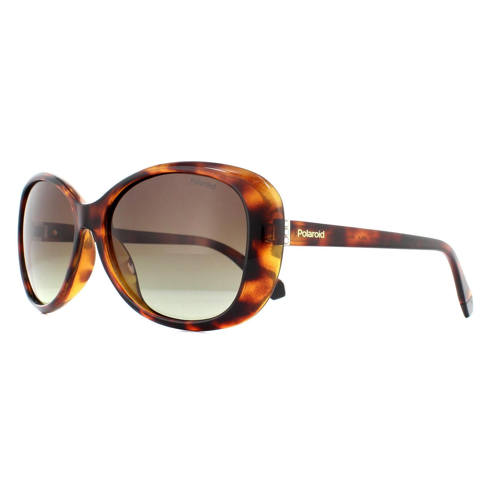 Polaroid Fashion Havana Brown Gradient Polarized Sunglasses
