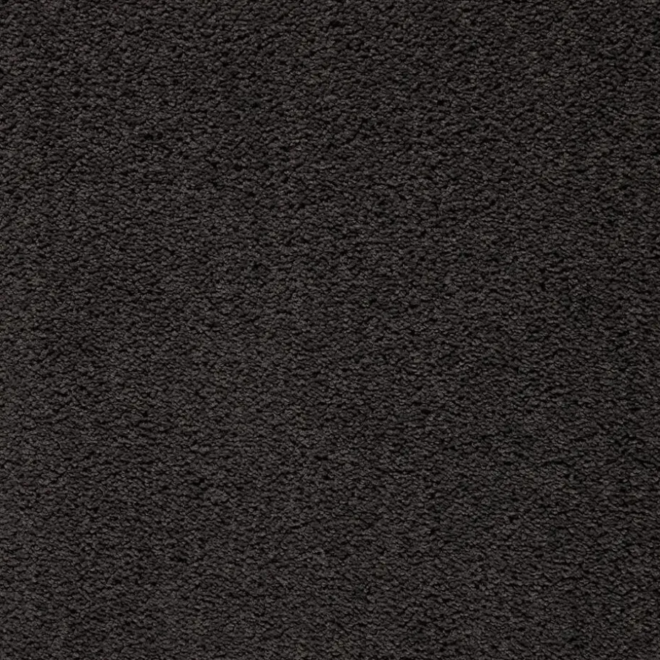 Kwantum Tapijt | Tapijt Marvell Antraciet