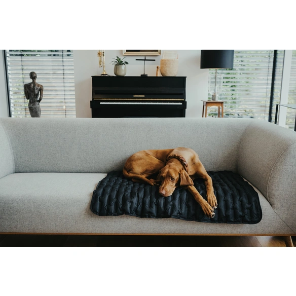 Hunde-Decke, BxL: 70 x 100 cm, schwarz