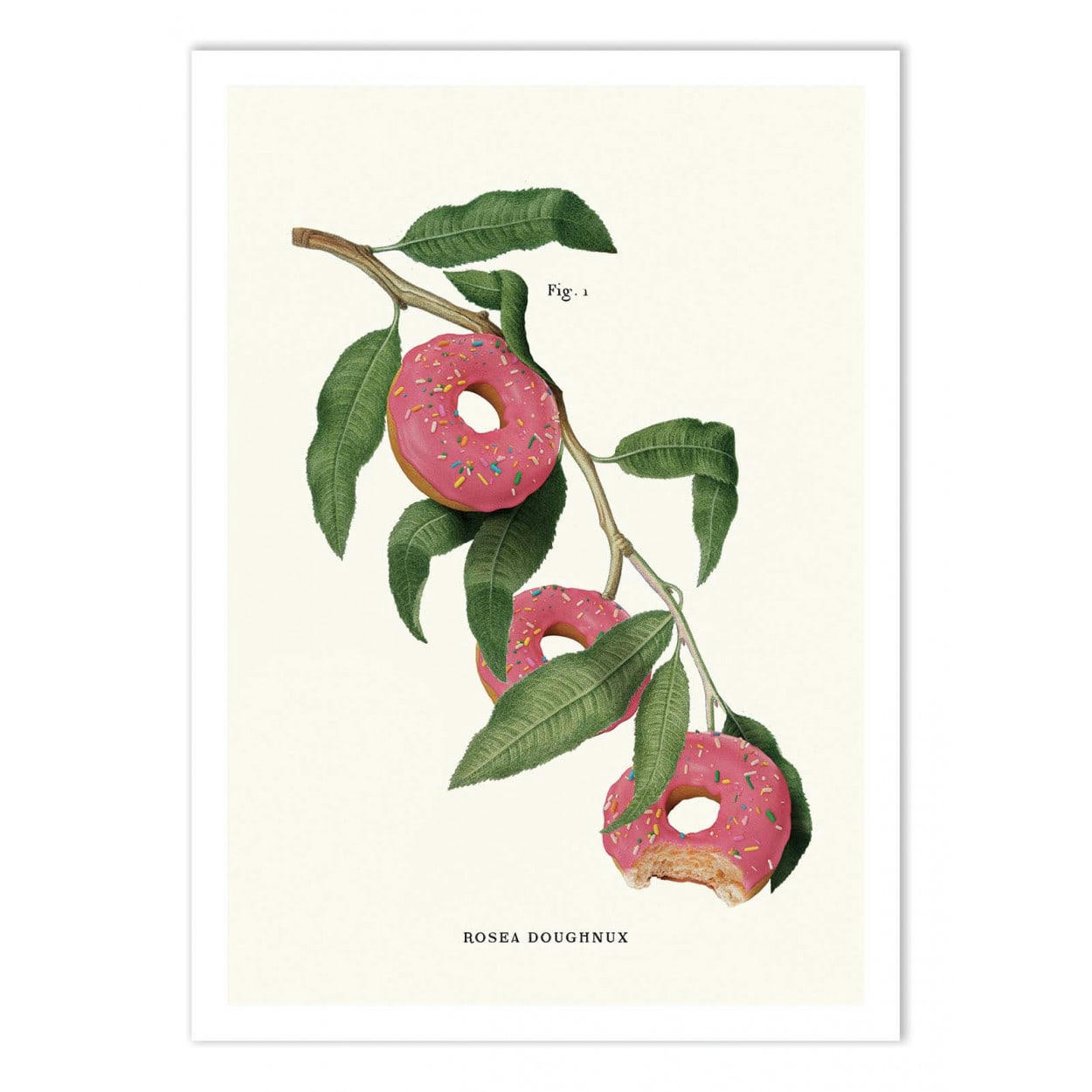 JONAS LOOSE - DONUT PLANT - Affiche d'art 50 x 70 cm