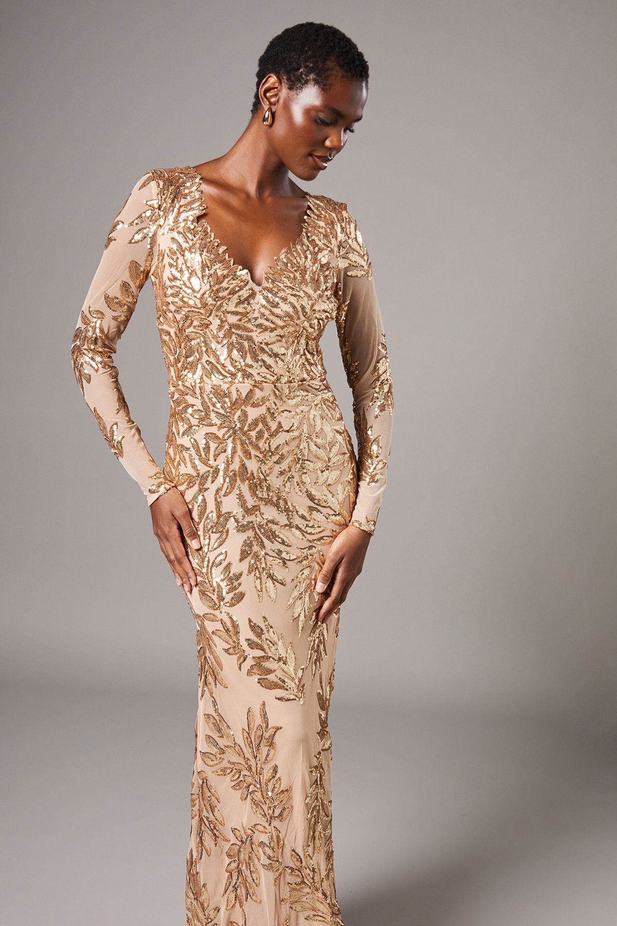 Coast Long Sleeve Floral Sequin Maxi Dress