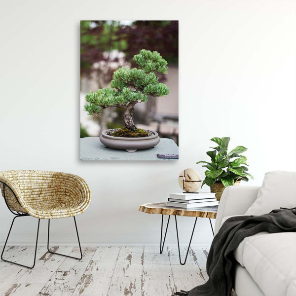 Feeby Obraz na płótnie Drzewko bonsai na kamieniach 40x60