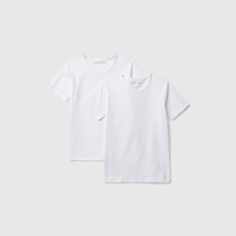 Two t-shirts in stretch cotton