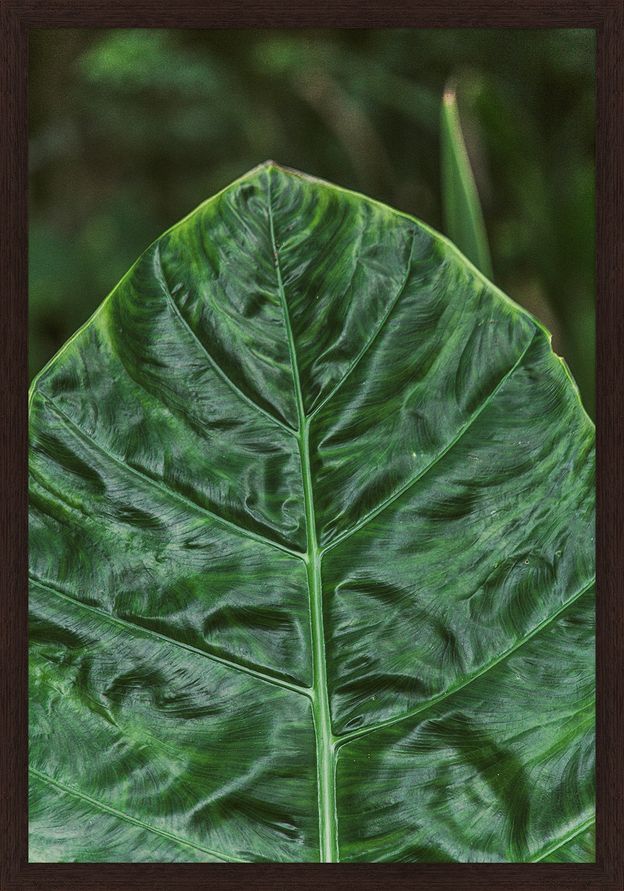QUADRO INTRÍNSECO IV 35 CM X 50 CM