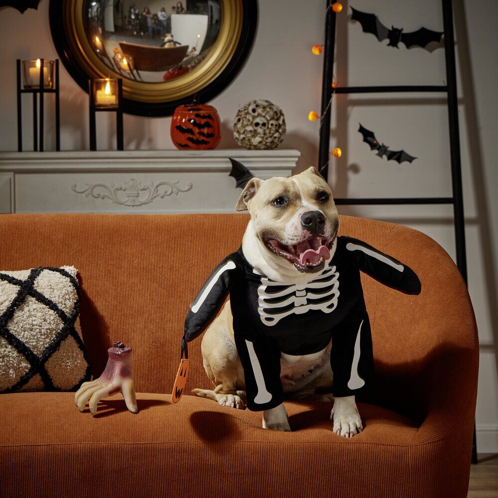Déguisement pour chien squelette noir et blanc S/M