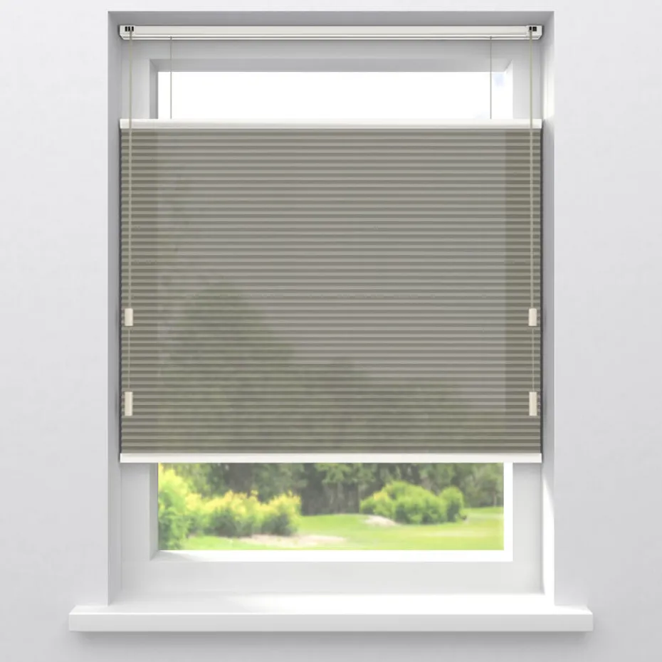 Kwantum Plisségordijnen | Fenstr Dubbel Plisségordijn Dewi  Lichtdoorlatend Taupe