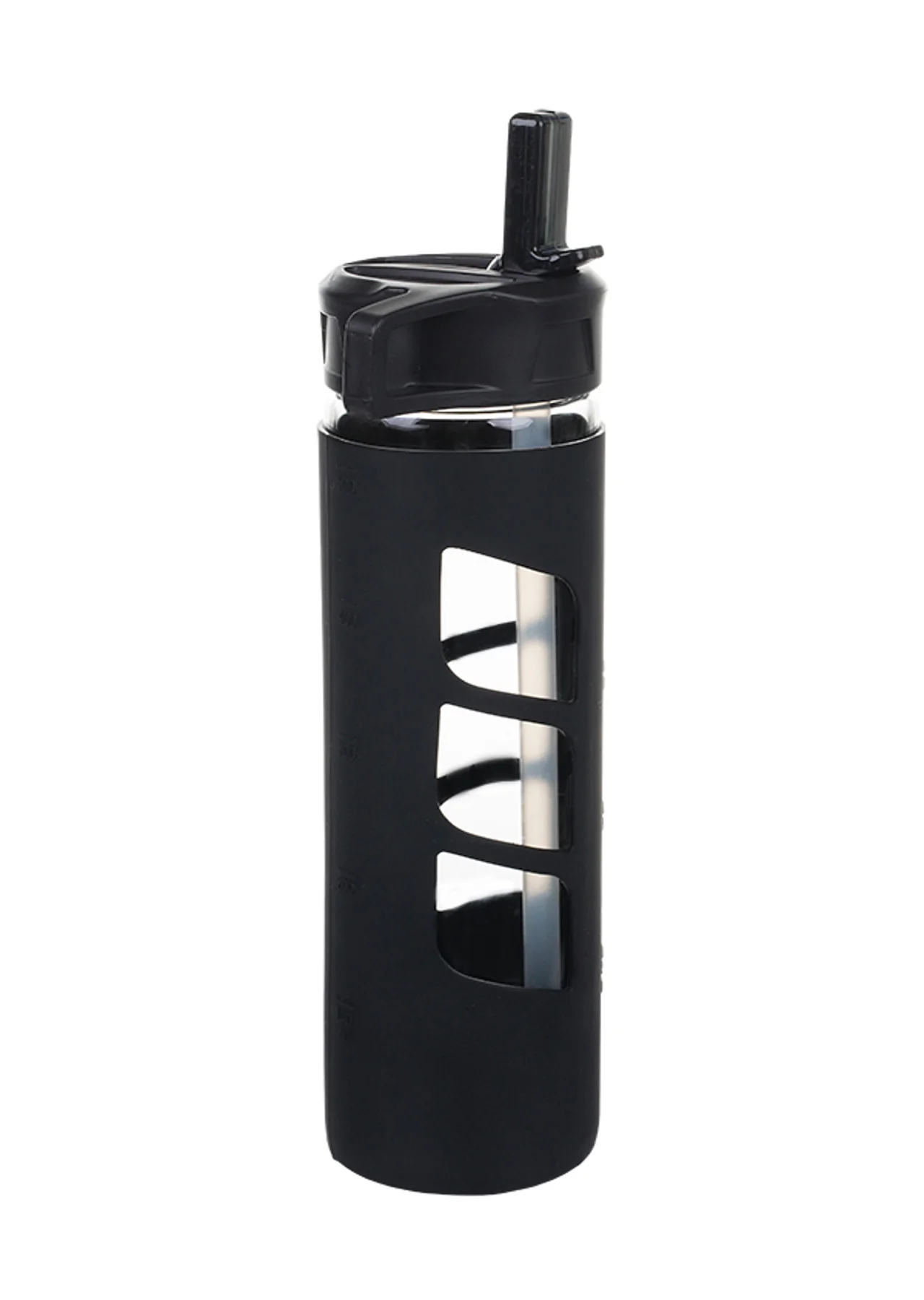 Iconic Glass Water Bottle