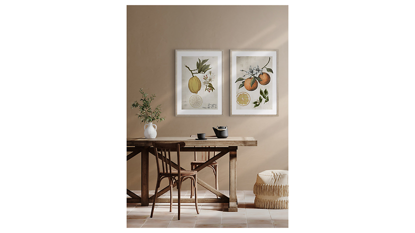 Obraz w ramie Lemonade Life Cycle 53x73 cm