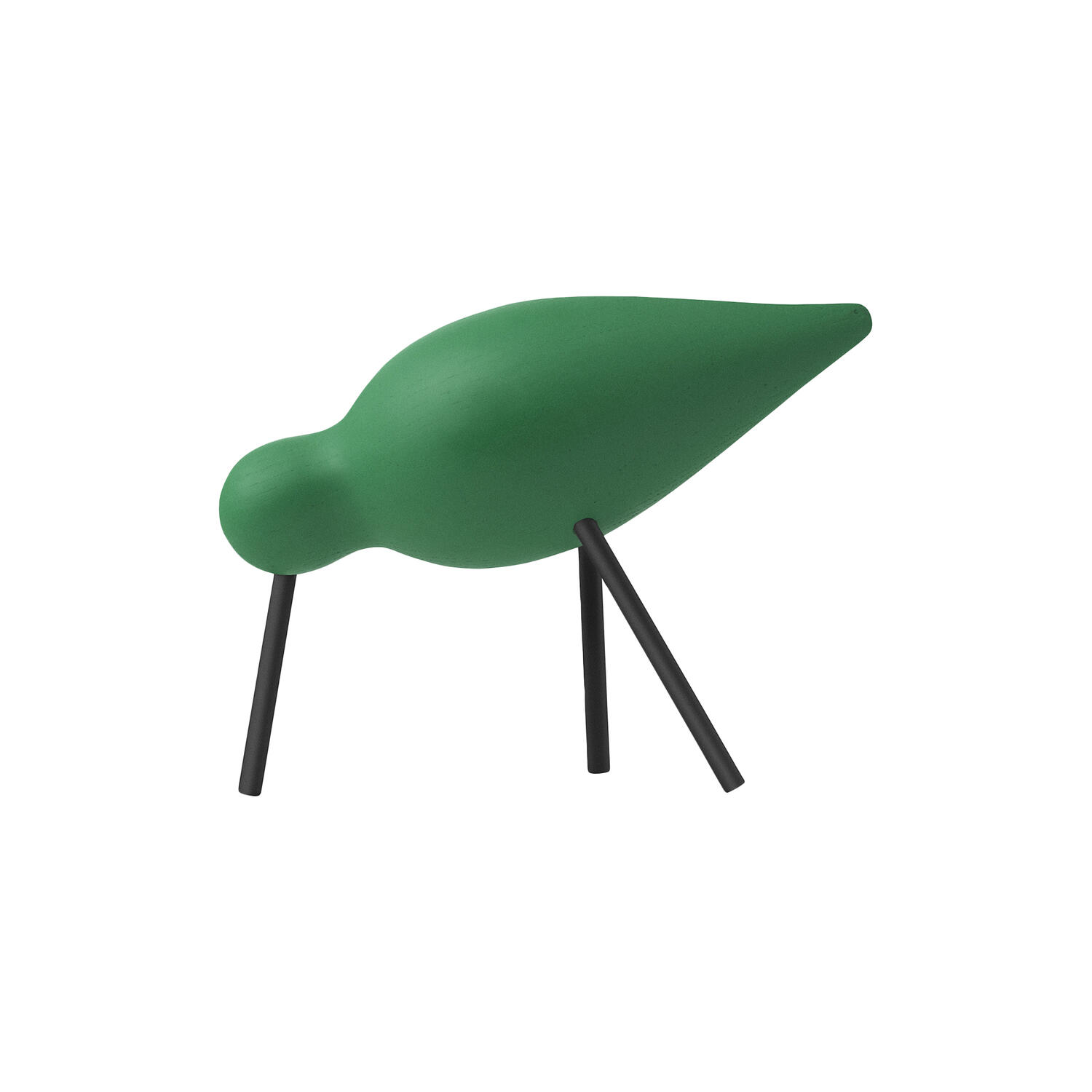Shorebird, green