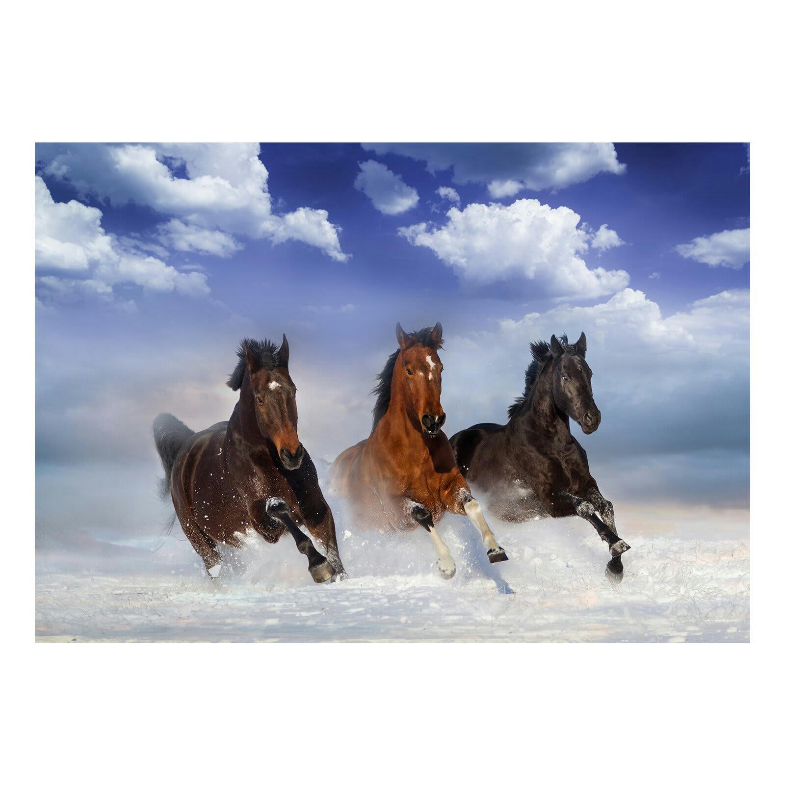 - Papier peint chevaux dans la neige 350 x 245 cm