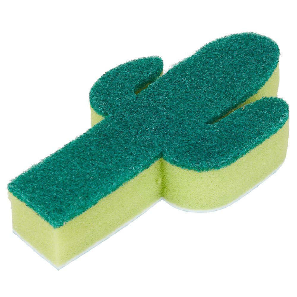 éponge cactus