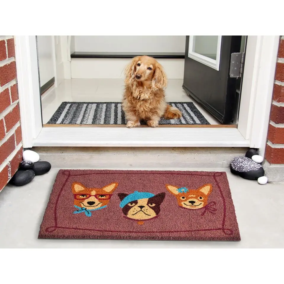 BABABU - Deurmat - Meerkleurig - 60 x 90 cm - Kokos