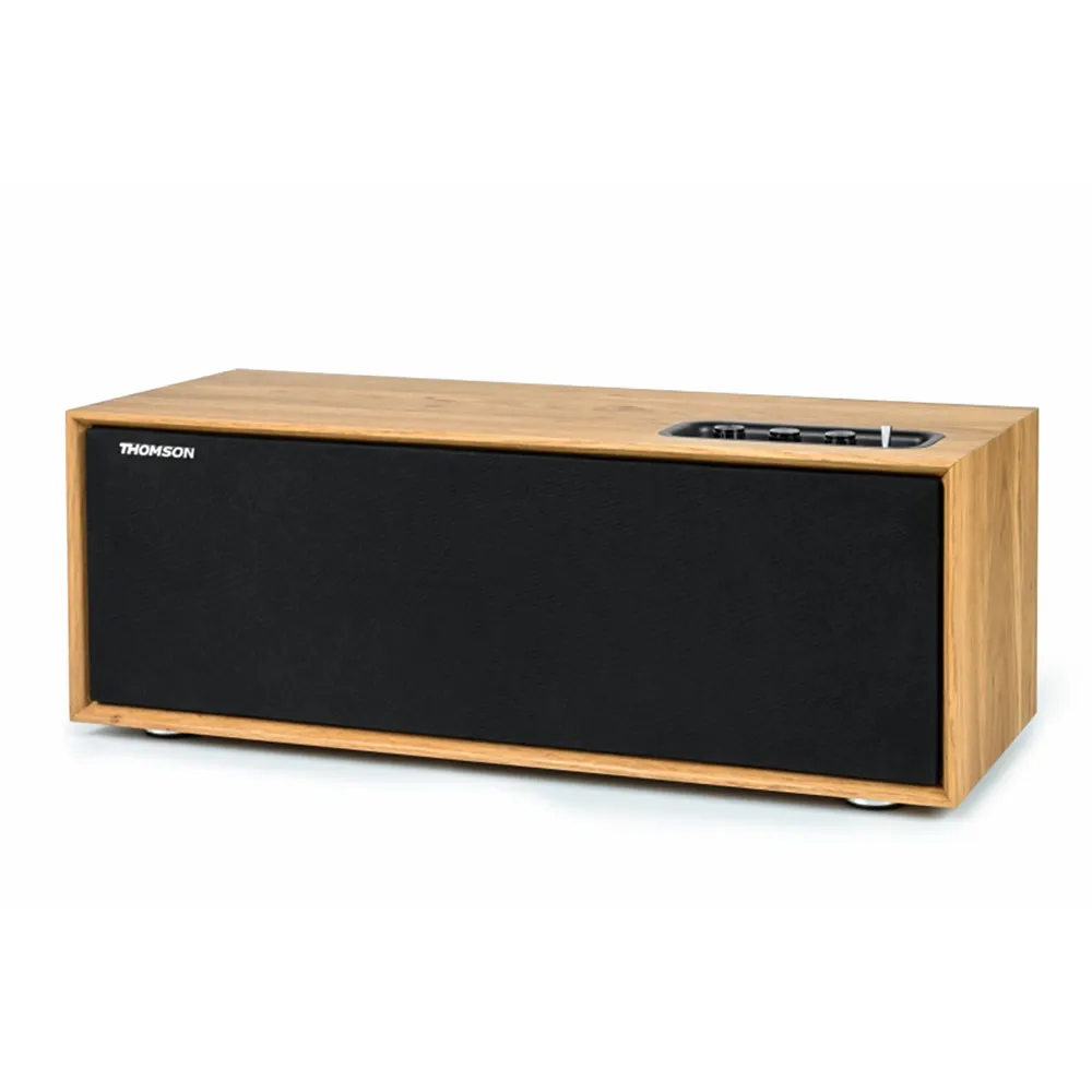 Thomson WS702 speaker
