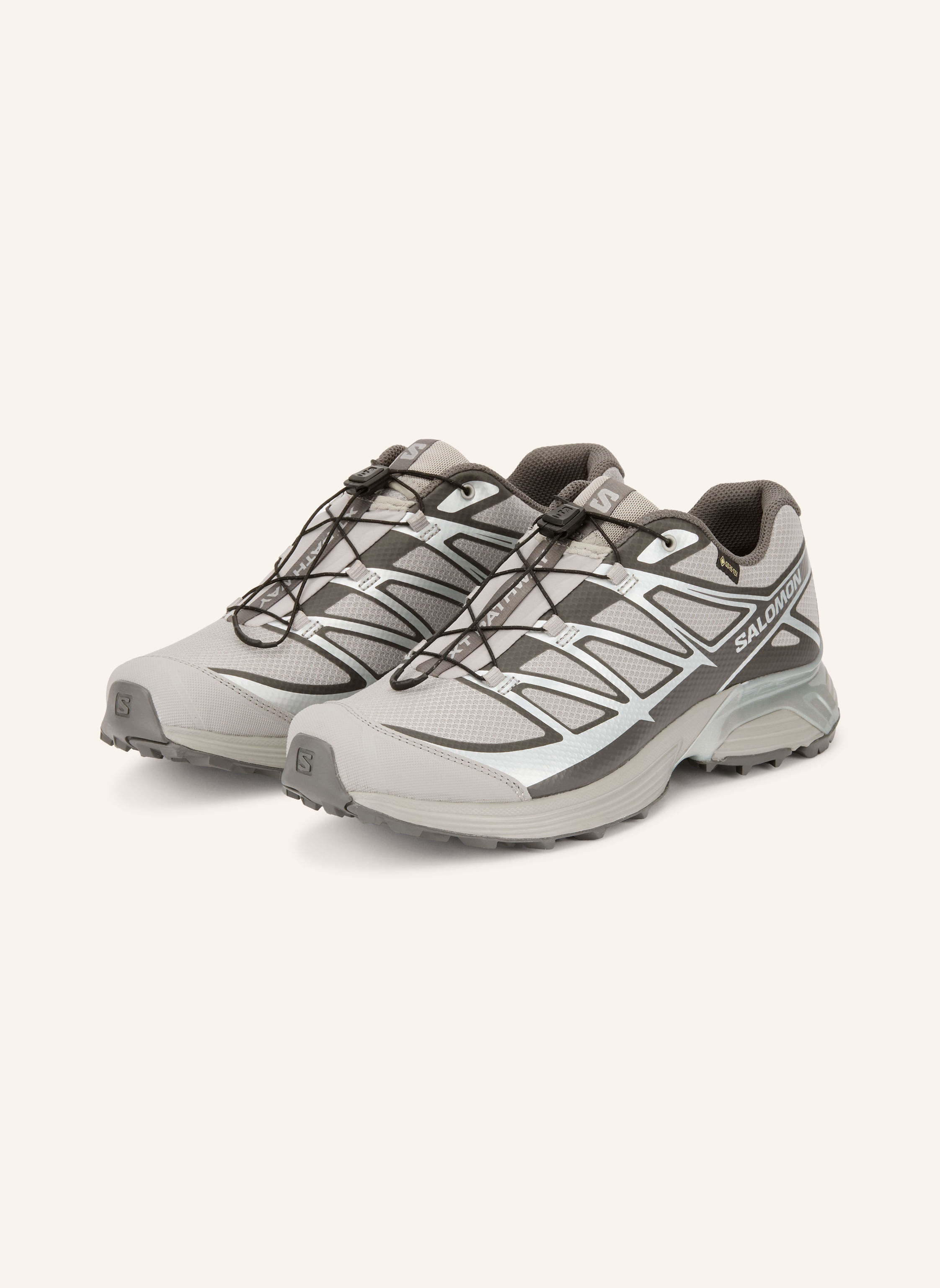 SALOMON Sneaker XT-PATHWAY GTX