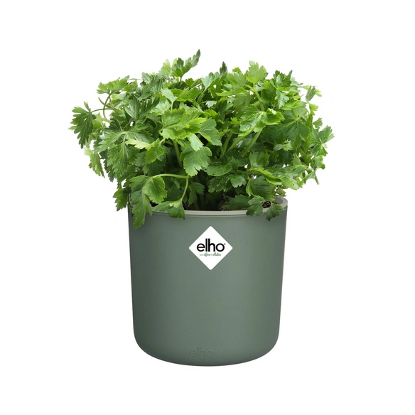 Blumentopf »Happy Herbs«, Ø 15 cm, rund, laubgrün