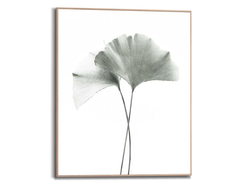 Bild Slim Frame Wood Ginkgo