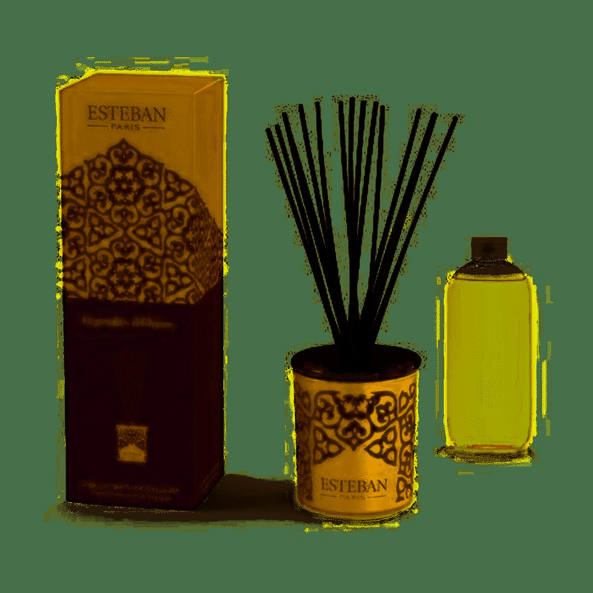 LÉGENDES D'ORIENT - Bouquet parfumé déco 100ml
