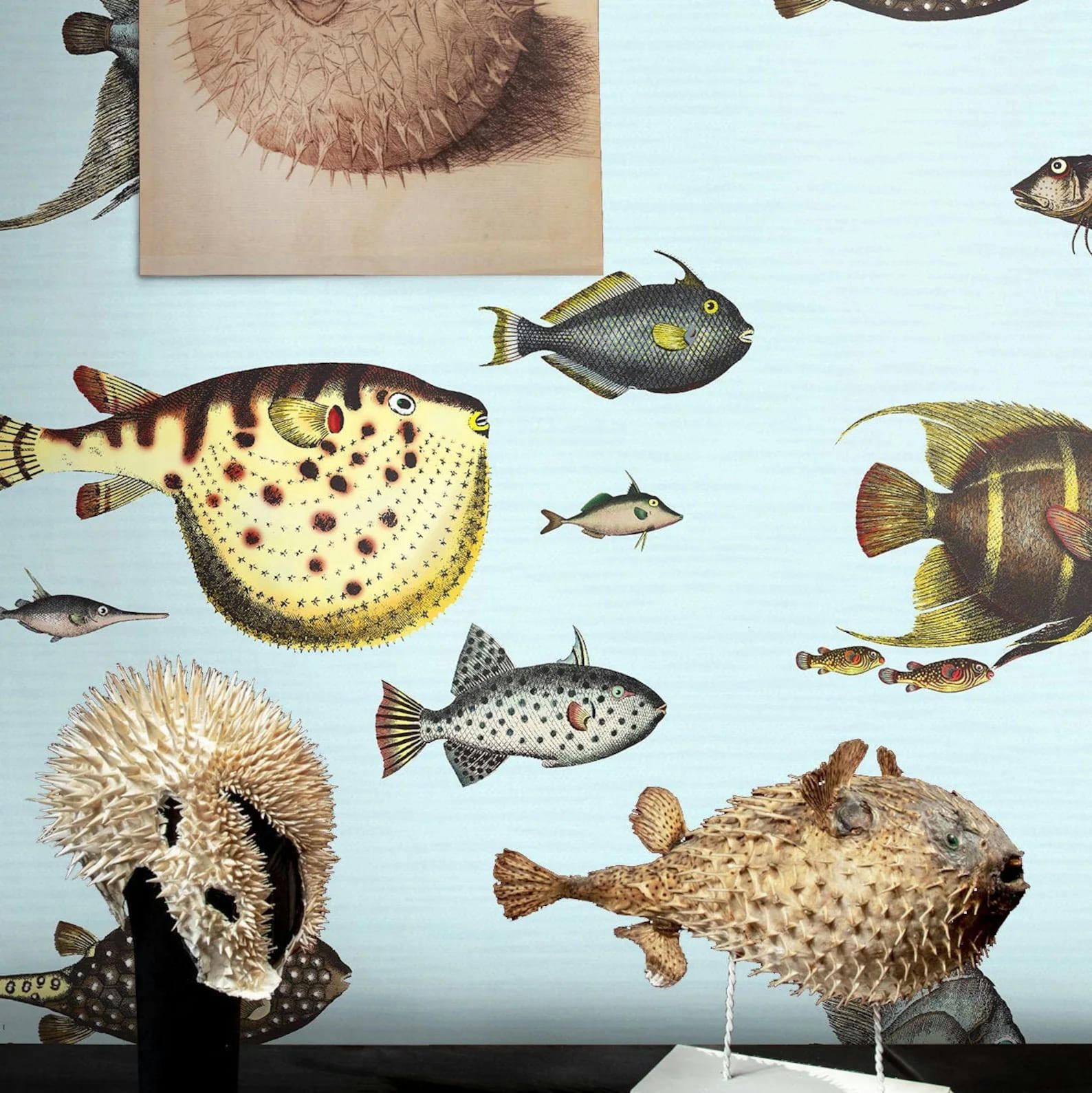 ANIMALI - Papier Peint Poissons Tropicaux 250x200 cm