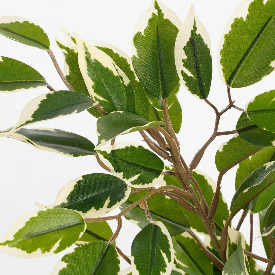 Mica Decorations Kunstplant Ficus - groen met wit - 40 cm - binnen