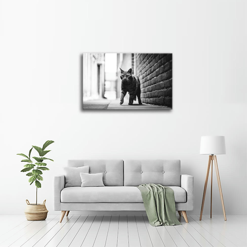 - Tableau impression sur toile pas de chat 60x90cm