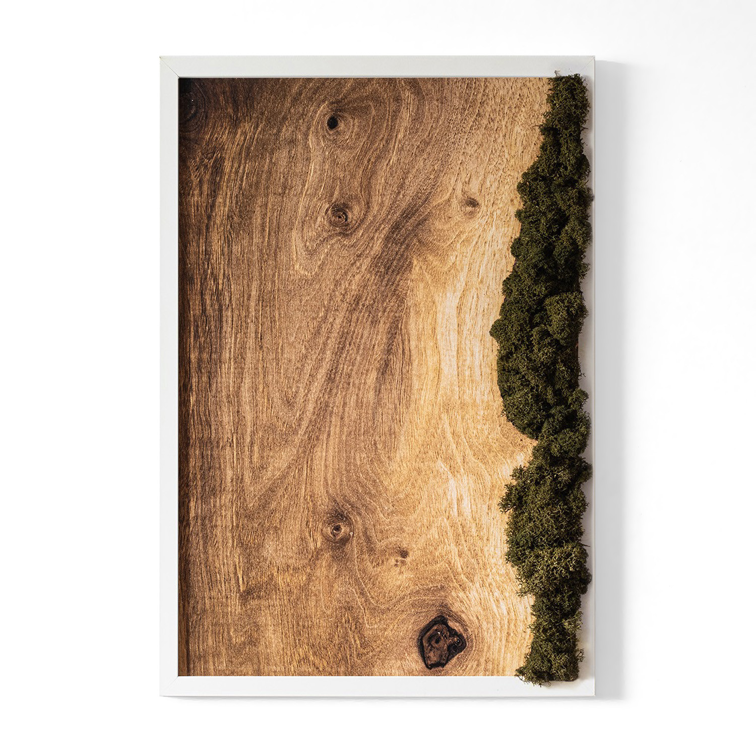 Obraz z mchem - Dębowa deska naturalna 40x60 cm Biała Rama