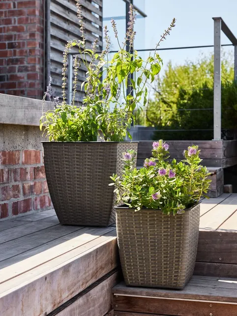 Plantekurv ISLOM 38x38x39 natur