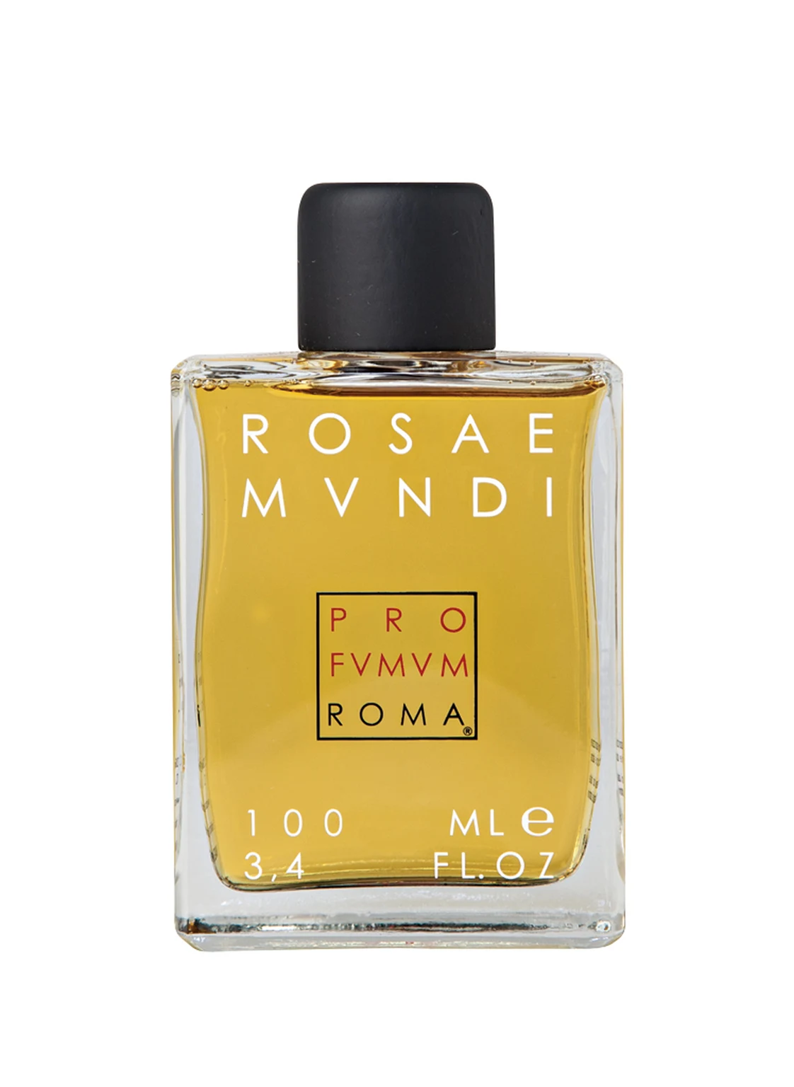 PROFVMVM ROMA ROSAE MUNDI