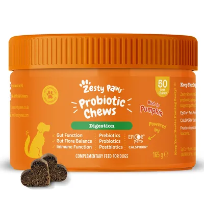 Zesty Paws Probiotic Chews Digestion - Pumpkin