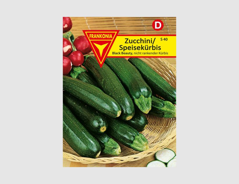 Zucchini Black Beauty