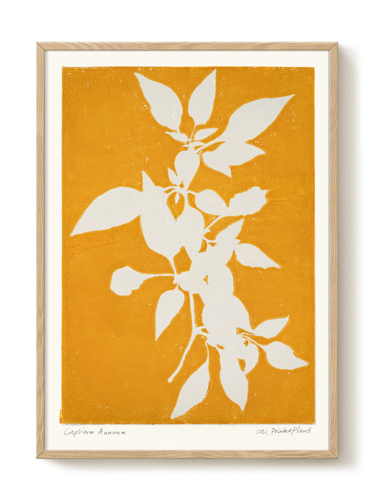 PrintedPlant - Capsicum Annuum II - PSTR studio Kunst Poster