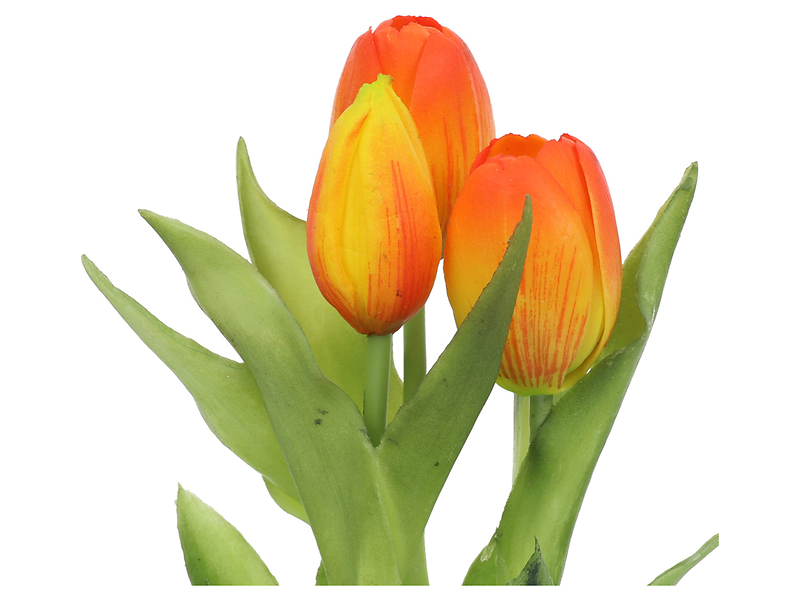 Tulipany w wiązce 20 cm 3 szt. gumowane pomarańczowe