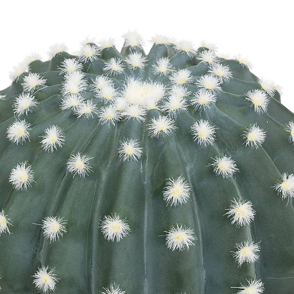 Cactus rond Exotic Panama H25cm vert - Atmosphera