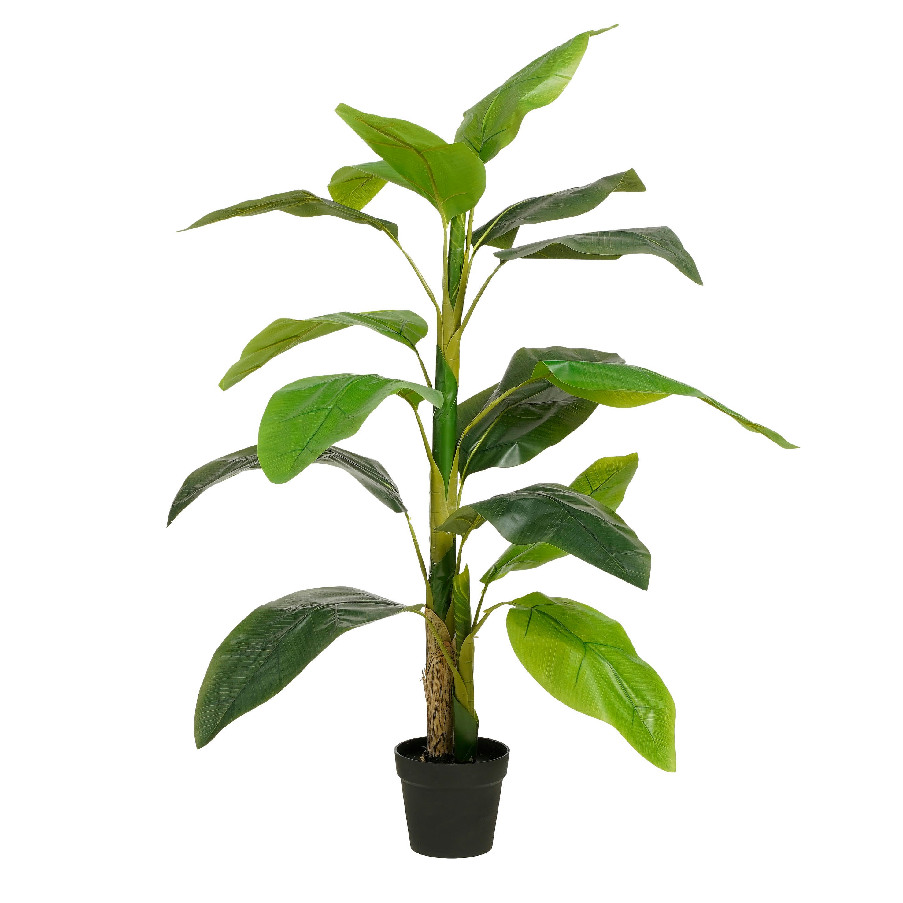 - Strelitzia artificielle vert en pot H150