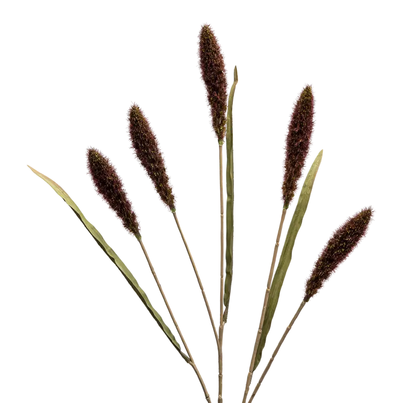 Dekozweig Dried-Grass