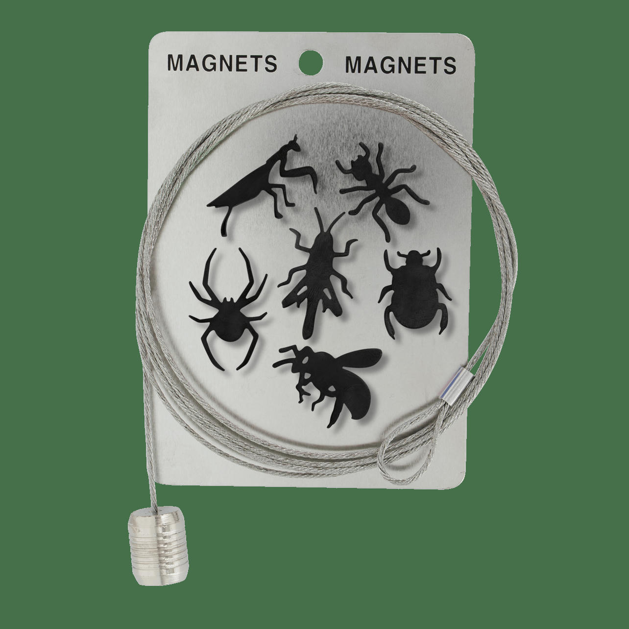 - Câble porte photos et magnets