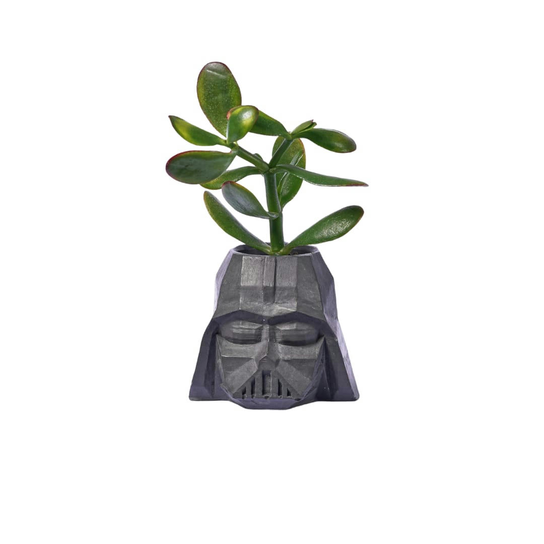 Dark Vador - Pot dark vador en béton anthracite